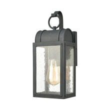 ELK Home Plus 45480/1 - SCONCE