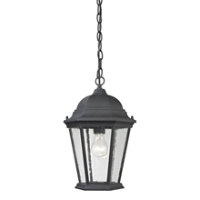 ELK Home Plus 8101EH/65 - Temple Hill 1-Light Hanging Light in Matte Textured Black