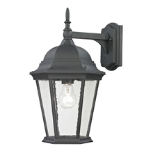 ELK Home Plus 8101EW/65 - SCONCE