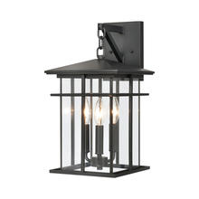 ELK Home Plus 89361/3 - SCONCE