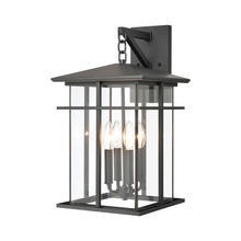 ELK Home Plus 89362/4 - SCONCE