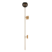 ELK Home Plus D4652 - Scarab 1-Light Plug-in Wall Sconce