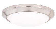Bowl Flush Mounts