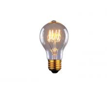 Other Bulbs